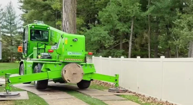 Tree Removal Madison WI